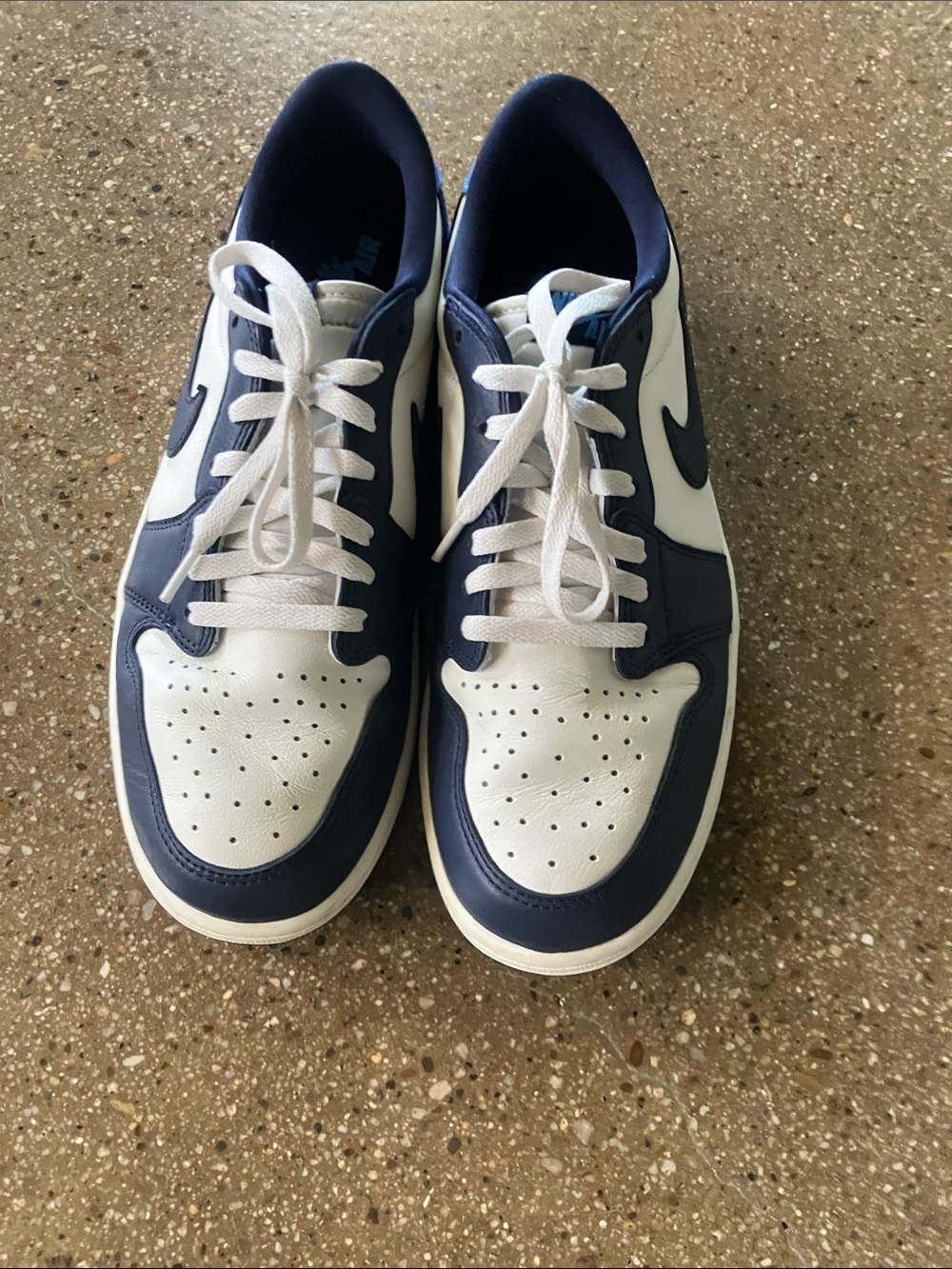 Nike Low-Top Sneakers in White and Navy
